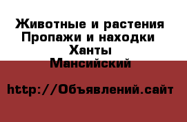 Животные и растения Пропажи и находки. Ханты-Мансийский